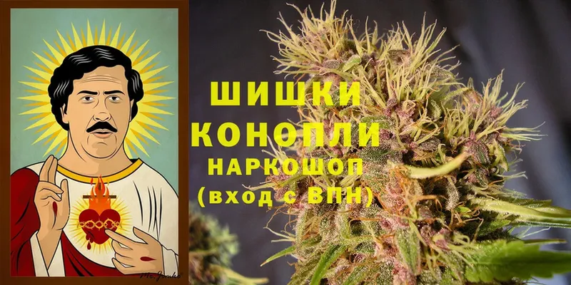 Конопля SATIVA & INDICA  Сосновка 